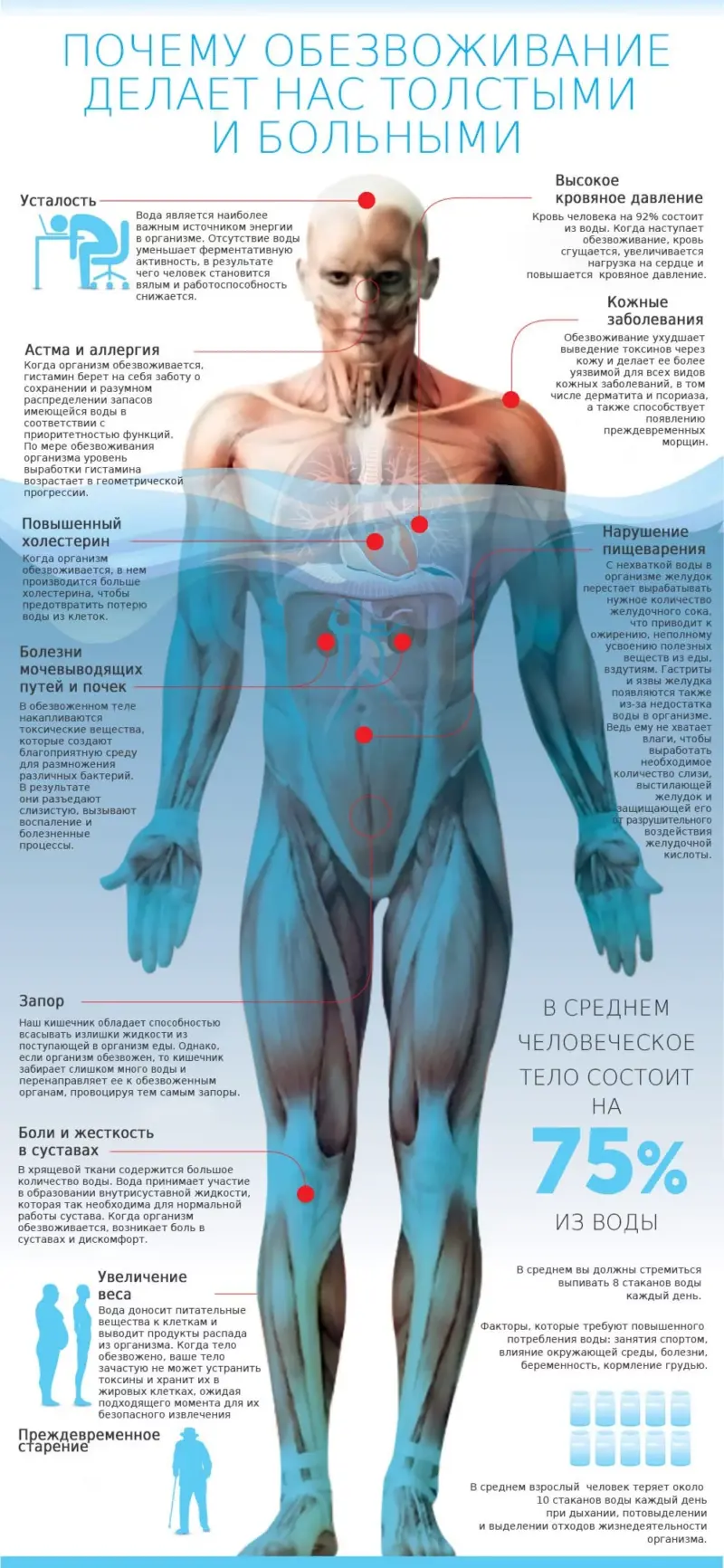 Инфографика Почему полезно пить воду