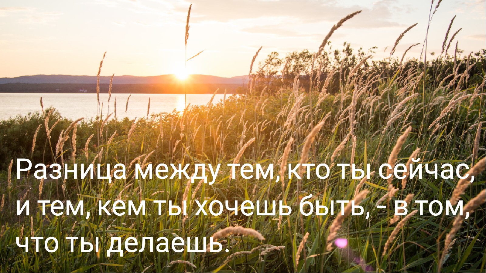Практикум МикроПривычки